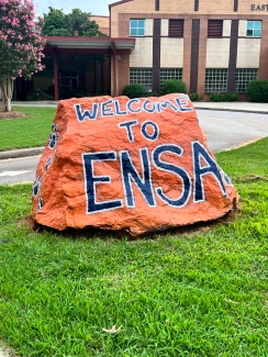 ENSA Tiger Pride Rock